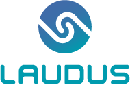 ERP Laudus